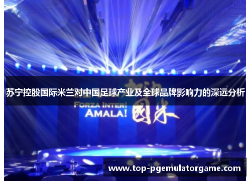 苏宁控股国际米兰对中国足球产业及全球品牌影响力的深远分析